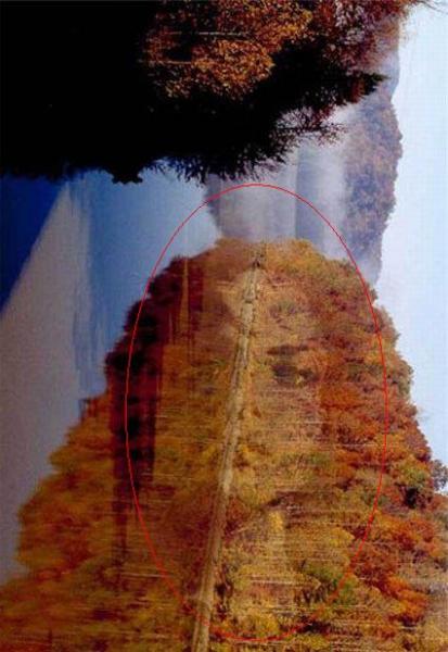 Картины-загадки - litso_zhenshini.jpg