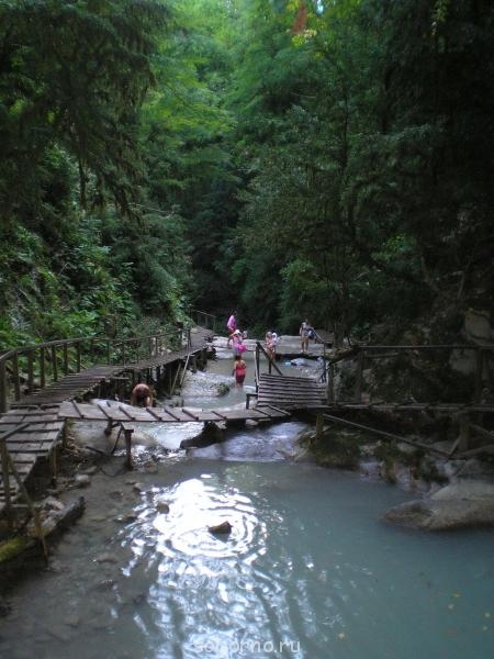 Сочи и окрестности 2010 - P8200178.jpg