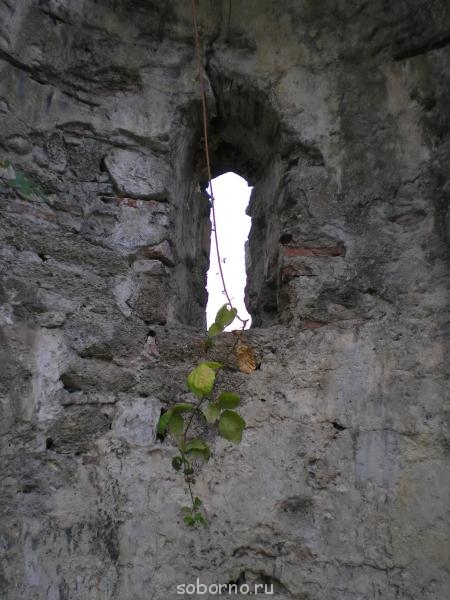 АБХАЗИЯ. НОВЫЙ АФОН - P7290298.jpg