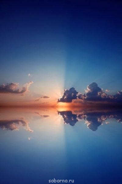 Доброе утро и Спокойной ночи - 1267471848_closeupphotosmohammadahmedfikree25.jpg