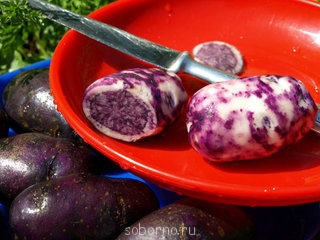 Угадай сказку - s320x240.jpg