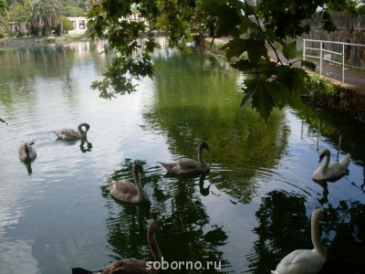 АБХАЗИЯ. НОВЫЙ АФОН - SDC11047.JPG