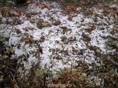 Каждая погода - благодать... - 001.jpg