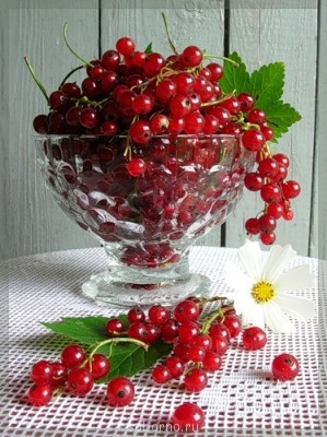 Фуршет по поводу  - 0_11f1d_ebe0351f_L.jpg