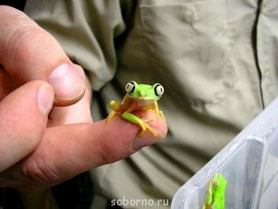 Они такие забавные смешные фото и видео  - x_82b45428.jpg