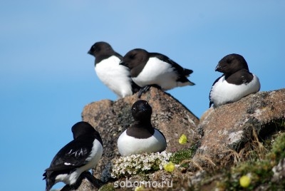 Флудильничек - 24.jpg