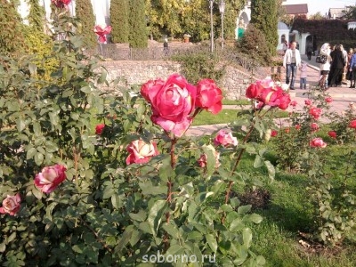 АЛЕКСИЕВО-АКАТОВ Женский монастырь. Воронеж  - 012.jpg