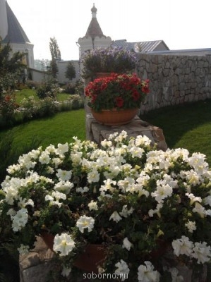 АЛЕКСИЕВО-АКАТОВ Женский монастырь. Воронеж  - 034.jpg