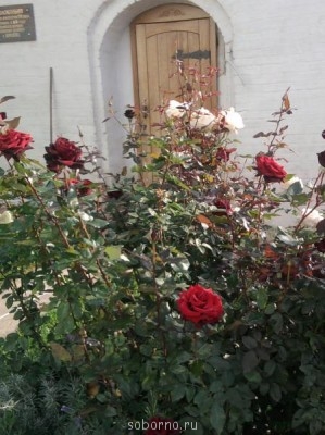 АЛЕКСИЕВО-АКАТОВ Женский монастырь. Воронеж  - 056.jpg