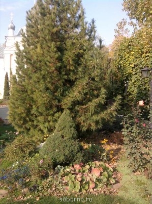 АЛЕКСИЕВО-АКАТОВ Женский монастырь. Воронеж  - 061.jpg