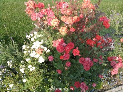 АЛЕКСИЕВО-АКАТОВ Женский монастырь. Воронеж  - 037.jpg