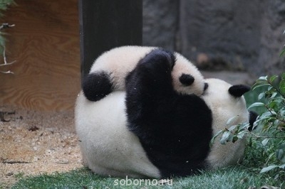 Они такие забавные смешные фото и видео  - x_7f910eeb.jpg