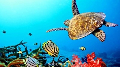 Самые интересные места на Земле - y_be4610d5.jpg