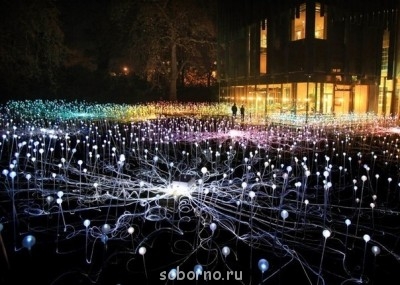 Всякая всячина - x_1888637c.jpg