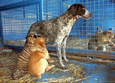 Они такие забавные смешные фото и видео  - x_288bcc71.jpg