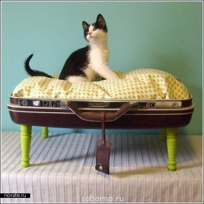 Рога и копыта, весёлая ЗоОфЛуДиЛьНя  - x_4a4fe966.jpg