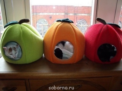 Рога и копыта, весёлая ЗоОфЛуДиЛьНя  - x_16b39409.jpg