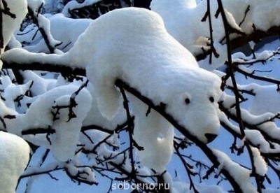 Они такие забавные смешные фото и видео  - x_f764529e.jpg