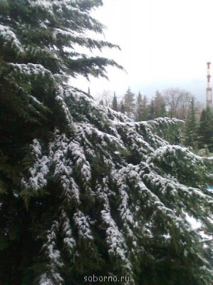 Доброе утро и Спокойной ночи  - Фото1255.jpg