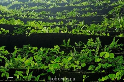 Самые интересные места на Земле - _9.jpg