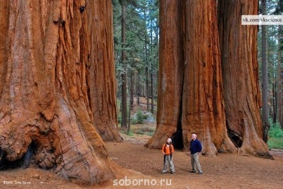 Самые интересные места на Земле - getImage (16).jpg