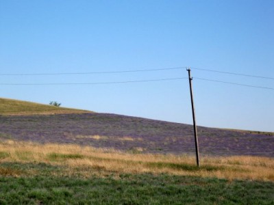 ТОПЛОВСКИЙ СВЯТО-ТРОИЦЕ-ПАРАСКЕВИЕВСКИЙ ЖЕНСКИЙ МОНАСТЫРЬ - 3.jpg