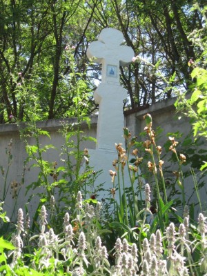 ТОПЛОВСКИЙ СВЯТО-ТРОИЦЕ-ПАРАСКЕВИЕВСКИЙ ЖЕНСКИЙ МОНАСТЫРЬ - 5a.jpg