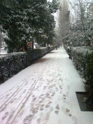 Каждая погода - благодать... - Фото1313.jpg