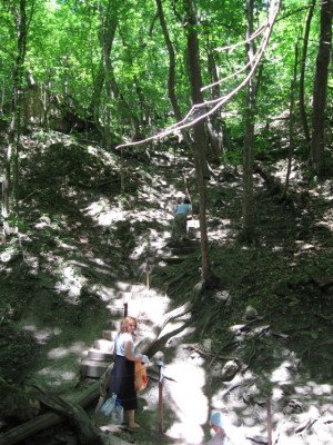 ТОПЛОВСКИЙ СВЯТО-ТРОИЦЕ-ПАРАСКЕВИЕВСКИЙ ЖЕНСКИЙ МОНАСТЫРЬ - 19.jpg