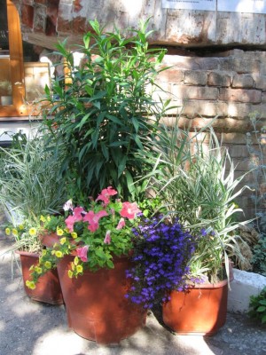 ТОПЛОВСКИЙ СВЯТО-ТРОИЦЕ-ПАРАСКЕВИЕВСКИЙ ЖЕНСКИЙ МОНАСТЫРЬ - 32a.jpg