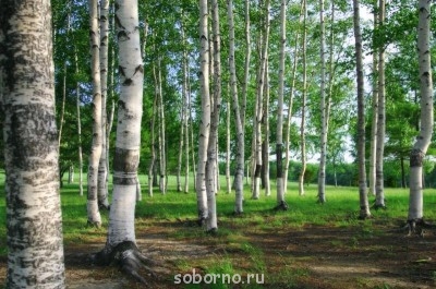 Завалинка - HtwsrYbALaE.jpg