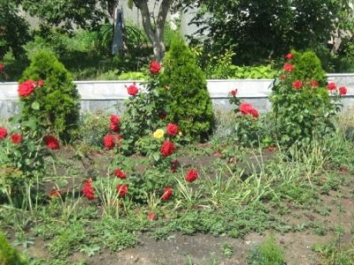 Алатырь - фото 189.jpg