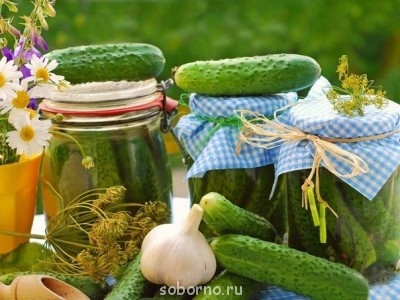 Открываем КОНСЕРВАторию - FjZu8ndMDbU.jpg