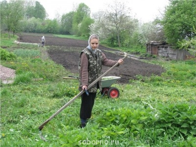 Наши инструменты - db32b54d9eeb.jpg