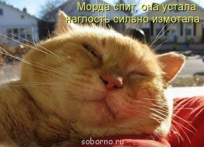 Они такие забавные смешные фото и видео  - ER5bTSYJOa4[1].jpg