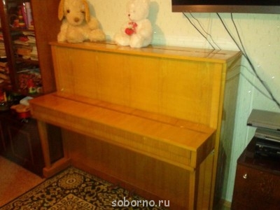 Наши инструменты - WP_000014.jpg