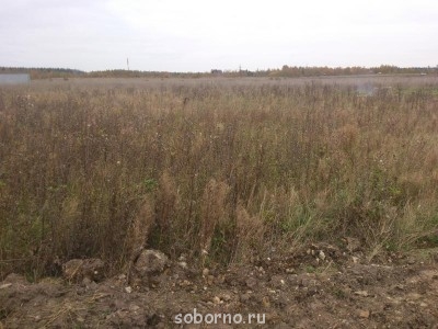 Наши работы в саду и в огороде - DSC_0587.jpg