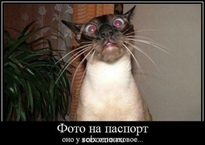 Рога и копыта, весёлая ЗоОфЛуДиЛьНя  - xmwdrrfn3T8[1].jpg