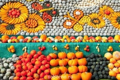 Всякая всячина - FtSKM5YY_qo.jpg