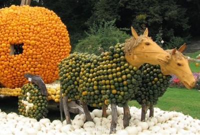 Всякая всячина - Qgt9CoLwVUI.jpg