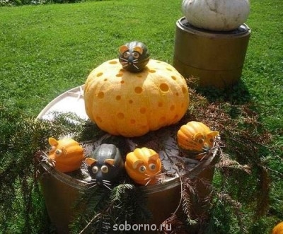 Всякая всячина - UYkVrUvjMeU.jpg