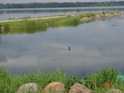Отдых на Валдае с посещением Иверского монастыря - DSC01857.JPG