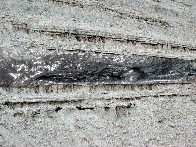 Кто хорошо знает Ветхий Завет - 01_07.jpg