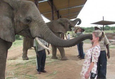 Они такие забавные смешные фото и видео  - p24JMVkgdn8[1].jpg