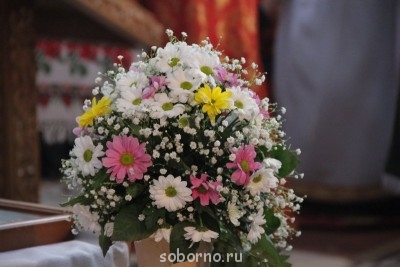 Доброе утро и Спокойной ночи  - phoca_thumb_l_img_9143.jpg