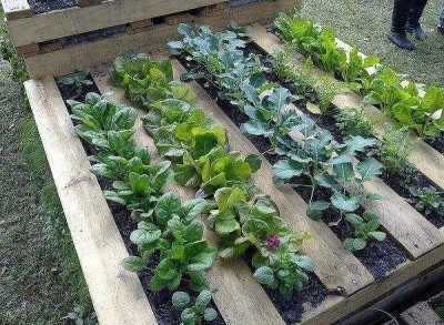 Наша дача и приусадебный участок - LK9TofQz6KM[1].jpg