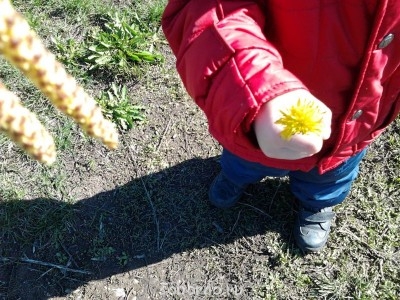 Каждая погода - благодать... - Фото0654.jpg