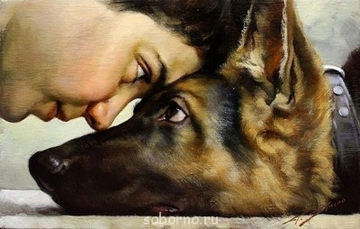 Рога и копыта, весёлая ЗоОфЛуДиЛьНя  - image.jpg