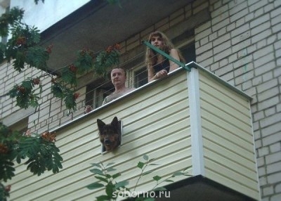 Рога и копыта, весёлая ЗоОфЛуДиЛьНя  - image.jpg