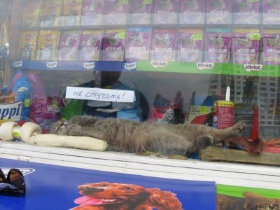 Рога и копыта, весёлая ЗоОфЛуДиЛьНя  - pLY4b4x-57w[1].jpg